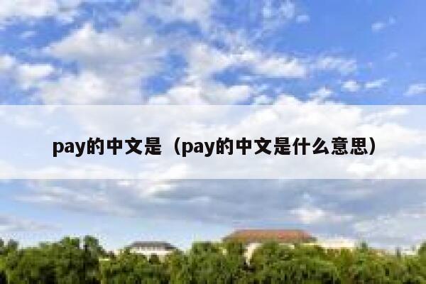 pay的中文是（pay的中文是什么意思） 第1张