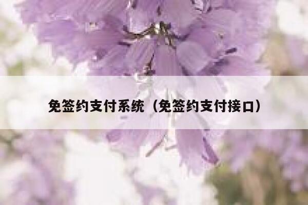 免签约支付系统(免签约支付接口) 第1张 免签约支付系统(免签约支付接口) 第1张