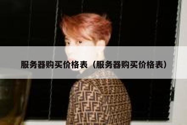 服务器购买价格表（服务器购买价格表） 第1张