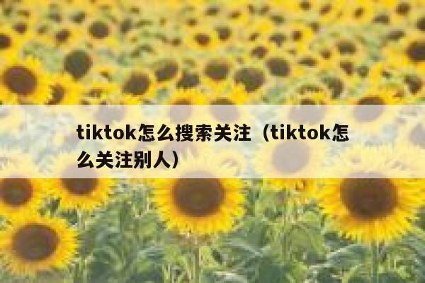 tiktok怎么搜索关注(tiktok怎么关注别人) 第1张 tiktok怎么搜索关注(tiktok怎么关注别人) 第1张