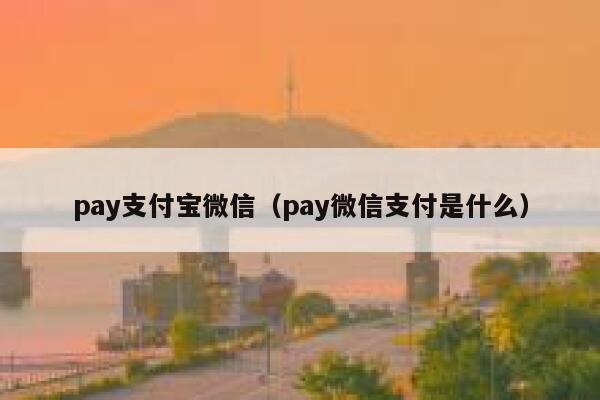 pay支付宝微信（pay微信支付是什么） 第1张