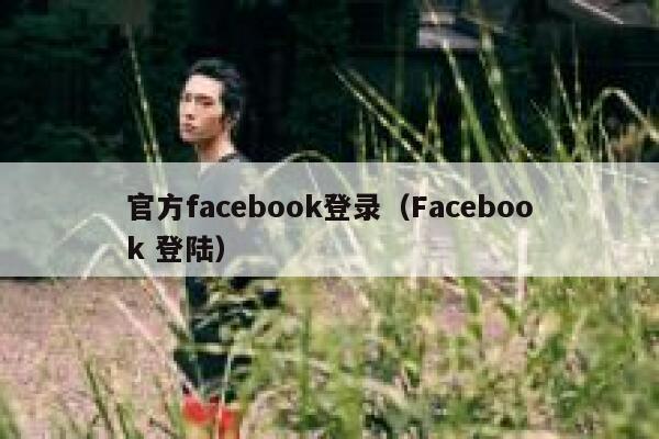 官方facebook登录（Facebook 登陆） 第1张