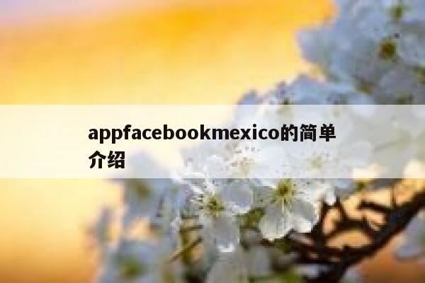 appfacebookmexico的简单介绍 第1张