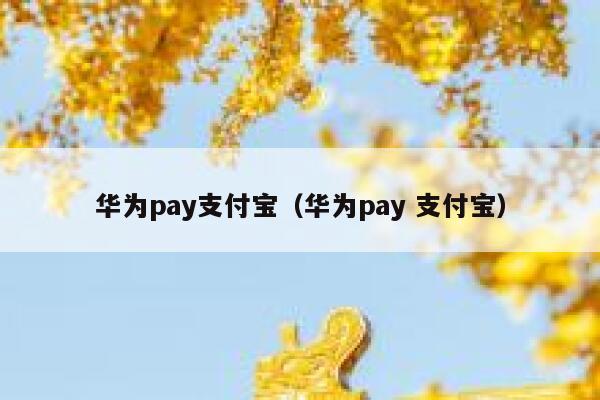 华为pay支付宝（华为pay 支付宝） 第1张