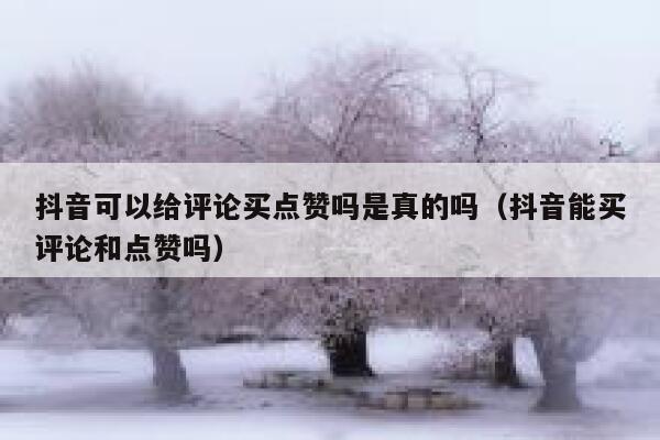 抖音可以给评论买点赞吗是真的吗（抖音能买评论和点赞吗） 第1张