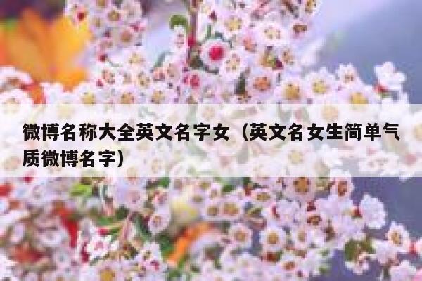 微博名称大全英文名字女（英文名女生简单气质微博名字） 第1张
