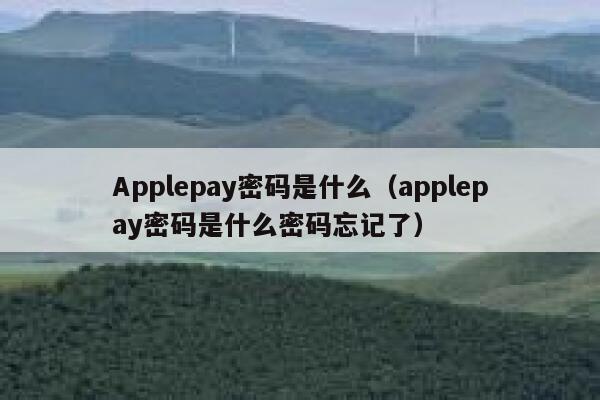 Applepay密码是什么（applepay密码是什么密码忘记了） 第1张