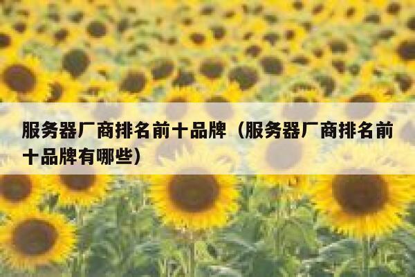 服务器厂商排名前十品牌（服务器厂商排名前十品牌有哪些） 第1张