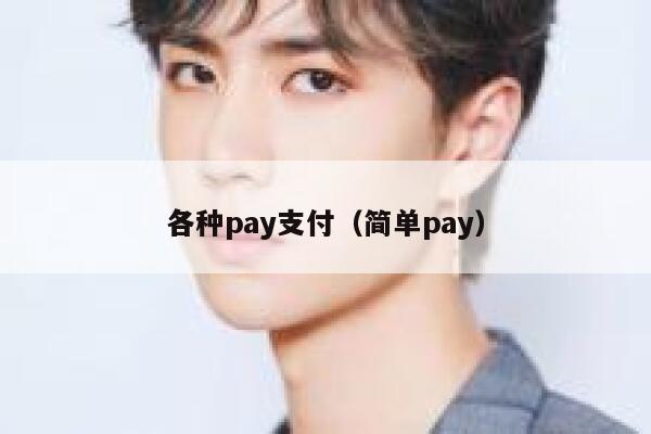 各种pay支付（简单pay） 第1张
