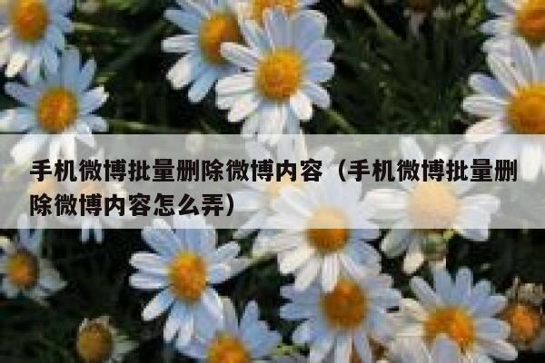 手机微博批量删除微博内容（手机微博批量删除微博内容怎么弄） 第1张