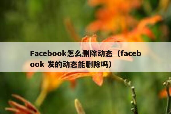 Facebook怎么删除动态（facebook 发的动态能删除吗） 第1张