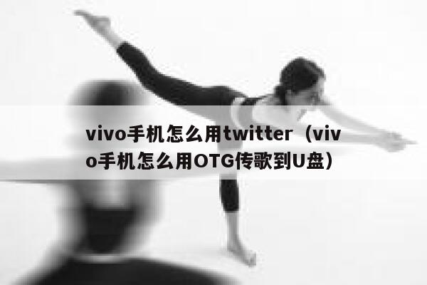 vivo手机怎么用twitter（vivo手机怎么用OTG传歌到U盘） 第1张
