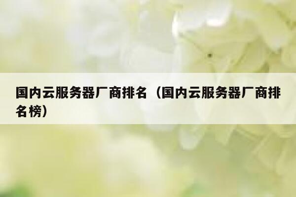 国内云服务器厂商排名（国内云服务器厂商排名榜） 第1张