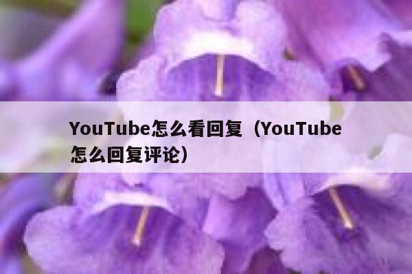 YouTube怎么看回复（YouTube怎么回复评论） 第1张
