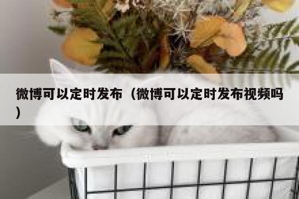 微博可以定时发布(微博可以定时发布视频吗) 第1张 微博可以定时发布(微博可以定时发布视频吗) 第1张
