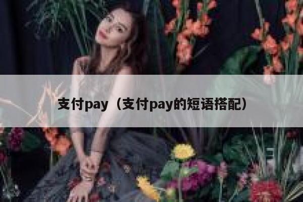支付pay（支付pay的短语搭配） 第1张