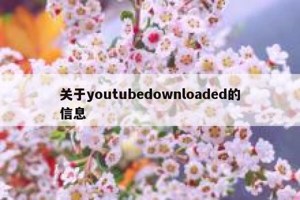 关于youtubedownloaded的信息 第1张