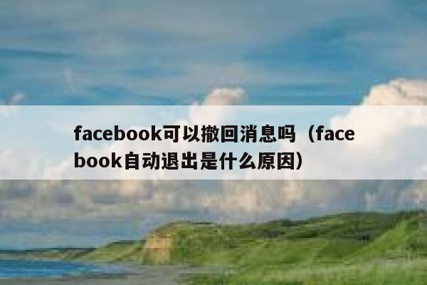 facebook可以撤回消息吗（facebook自动退出是什么原因） 第1张