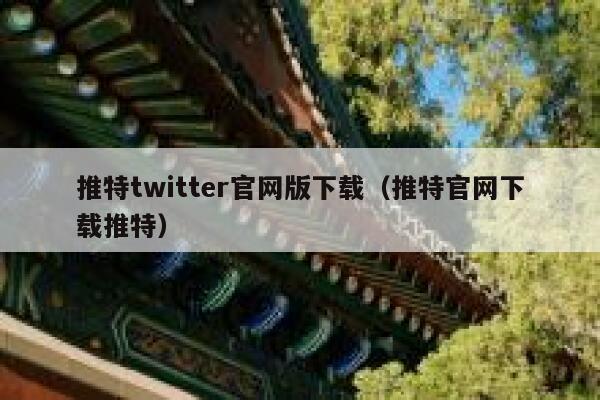 推特twitter官网版下载（推特官网下载推特） 第1张