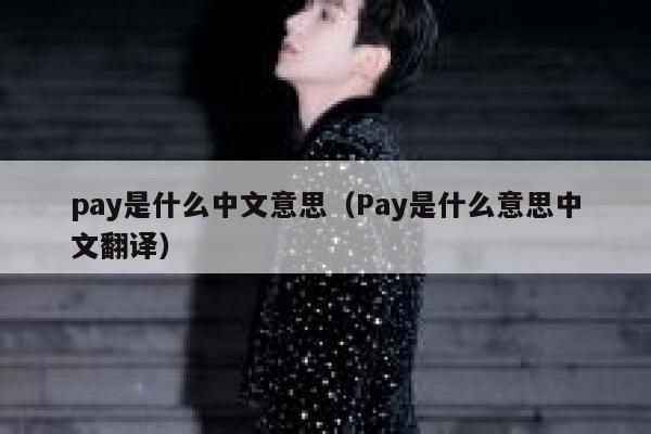 pay是什么中文意思（Pay是什么意思中文翻译） 第1张