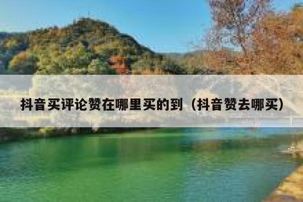 抖音买评论赞在哪里买的到（抖音赞去哪买） 第1张