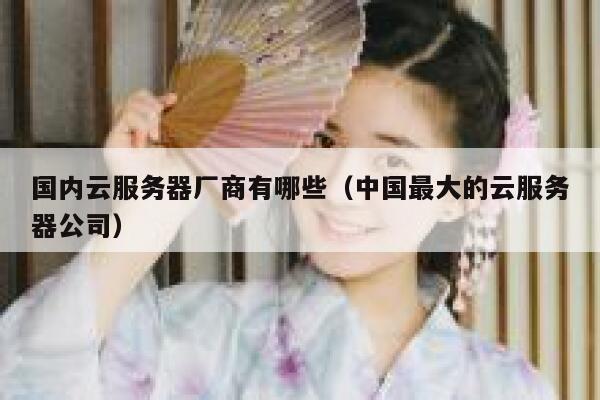 国内云服务器厂商有哪些（中国最大的云服务器公司） 第1张