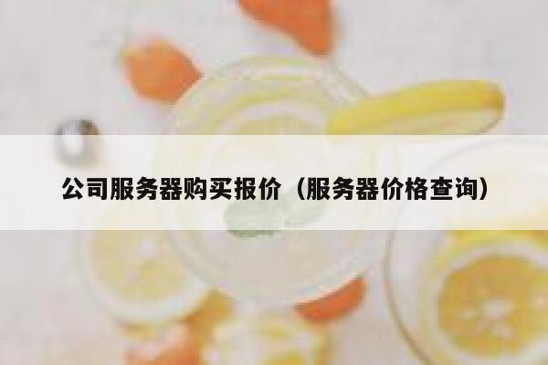 公司服务器购买报价(服务器价格查询) 第1张 公司服务器购买报价(服务器价格查询) 第1张