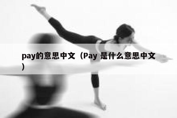 pay的意思中文（Pay 是什么意思中文） 第1张
