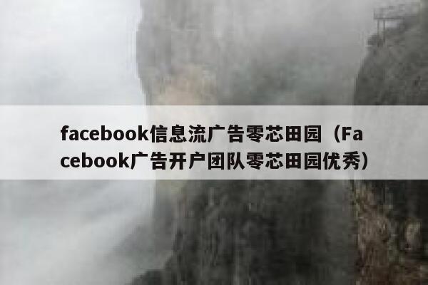 facebook信息流广告零芯田园（Facebook广告开户团队零芯田园优秀） 第1张