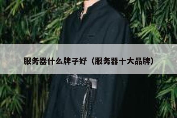 服务器什么牌子好（服务器十大品牌） 第1张
