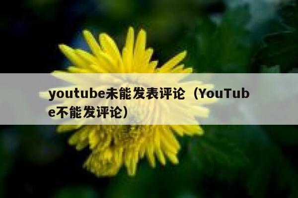 youtube未能发表评论（YouTube不能发评论） 第1张