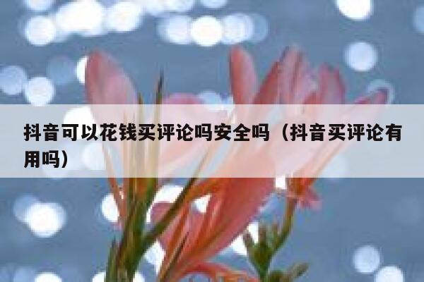 抖音可以花钱买评论吗安全吗（抖音买评论有用吗） 第1张