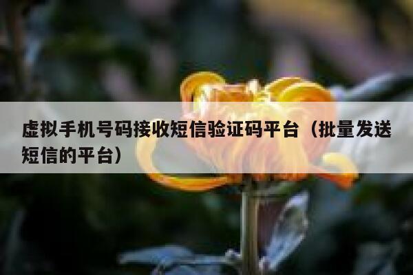 虚拟手机号码接收短信验证码平台（批量发送短信的平台） 第1张