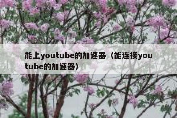 能上youtube的加速器（能连接youtube的加速器） 第1张