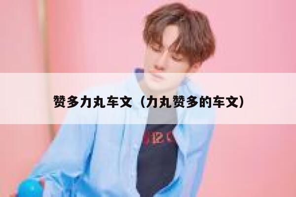 赞多力丸车文（力丸赞多的车文） 第1张