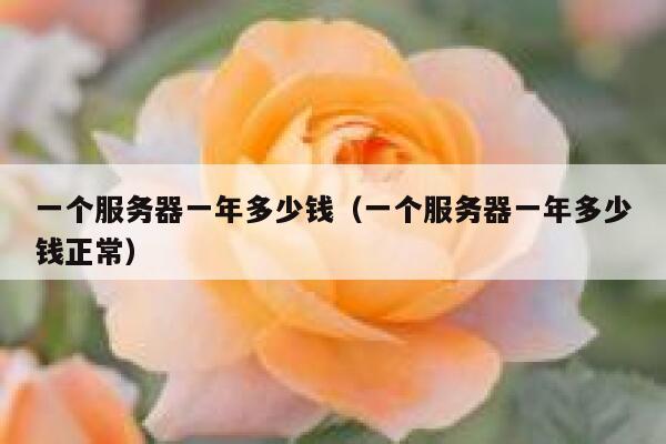 一个服务器一年多少钱（一个服务器一年多少钱正常） 第1张