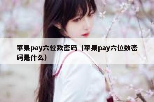 苹果pay六位数密码（苹果pay六位数密码是什么） 第1张