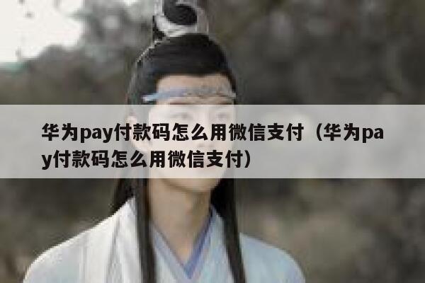华为pay付款码怎么用微信支付（华为pay付款码怎么用微信支付） 第1张