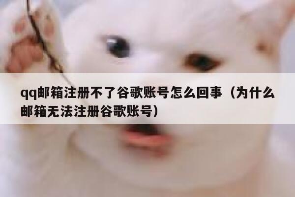 qq邮箱注册不了谷歌账号怎么回事（为什么邮箱无法注册谷歌账号） 第1张
