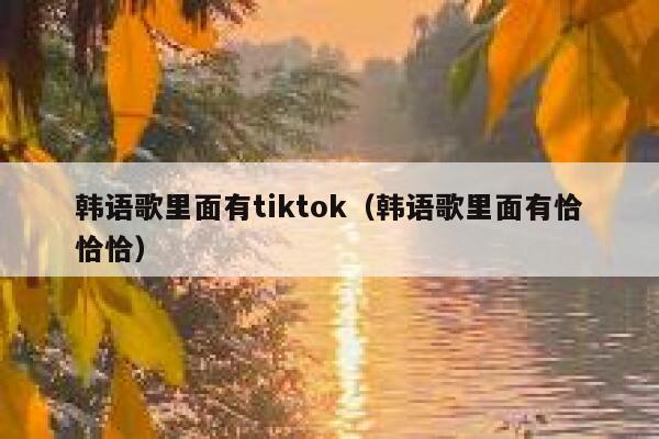 韩语歌里面有tiktok（韩语歌里面有恰恰恰） 第1张