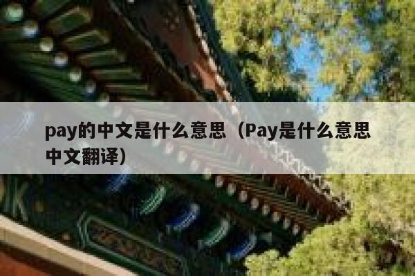 pay的中文是什么意思（Pay是什么意思中文翻译） 第1张