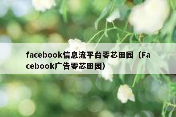 facebook信息流平台零芯田园（Facebook广告零芯田园） 第1张
