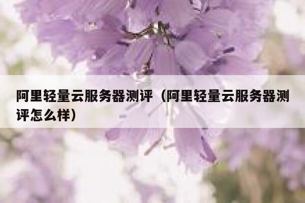 阿里轻量云服务器测评（阿里轻量云服务器测评怎么样） 第1张