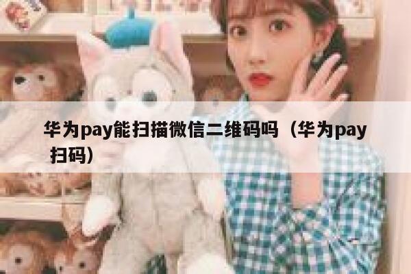 华为pay能扫描微信二维码吗（华为pay 扫码） 第1张
