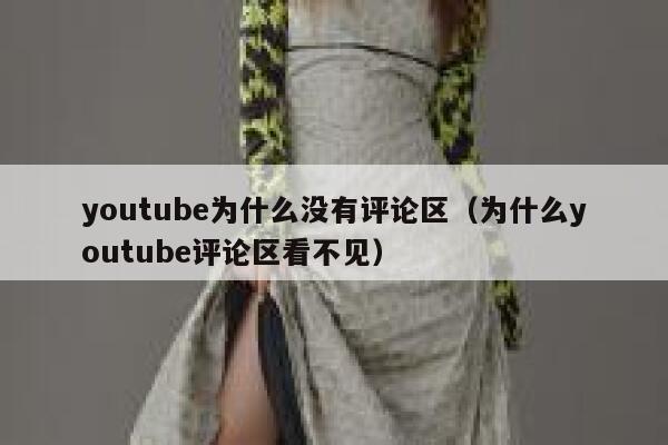 youtube为什么没有评论区（为什么youtube评论区看不见） 第1张