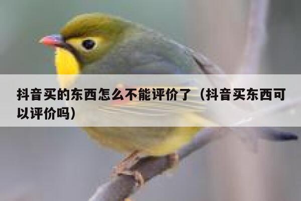 抖音买的东西怎么不能评价了（抖音买东西可以评价吗） 第1张