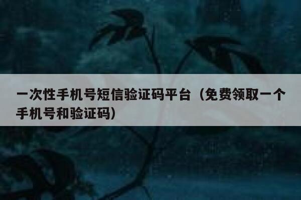 一次性手机号短信验证码平台（免费领取一个手机号和验证码） 第1张