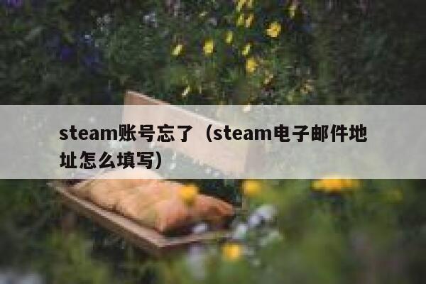 steam账号忘了（steam电子邮件地址怎么填写） 第1张