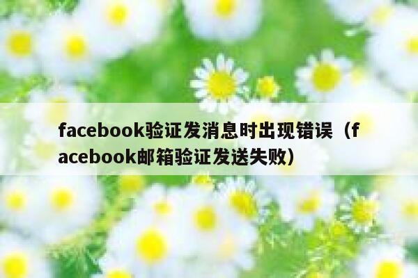 facebook验证发消息时出现错误（facebook邮箱验证发送失败） 第1张