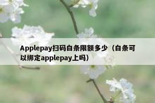 Applepay扫码白条限额多少（白条可以绑定applepay上吗） 第1张